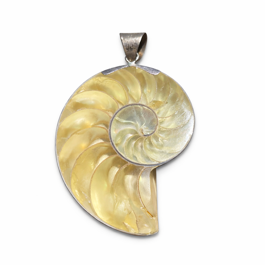 Mother of Pearl Seashell Pendant cast with 925 Silver Details