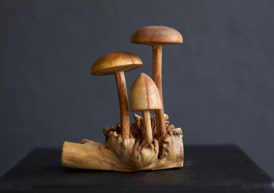 Carved wooden Mushrooms Sculpture - Short Round Top