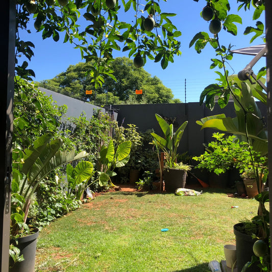 modern boho townhouse