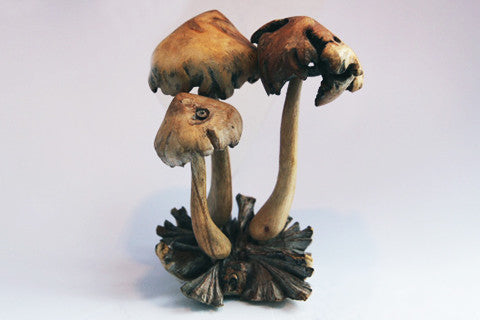 Carved Wooden Mushrooms