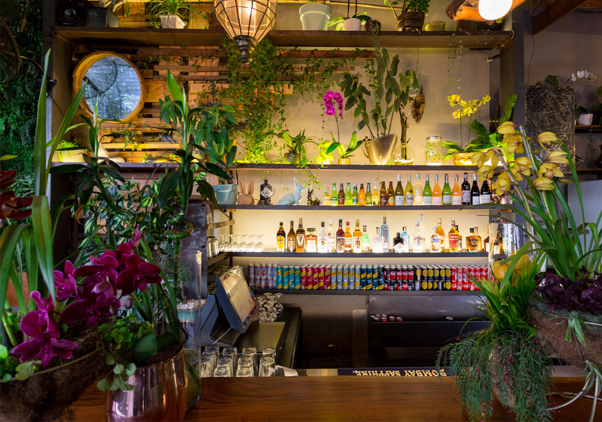 Load video: living room jozi , Maboneng, Joahnnesburg, Vertical Gardens, rooftop bar