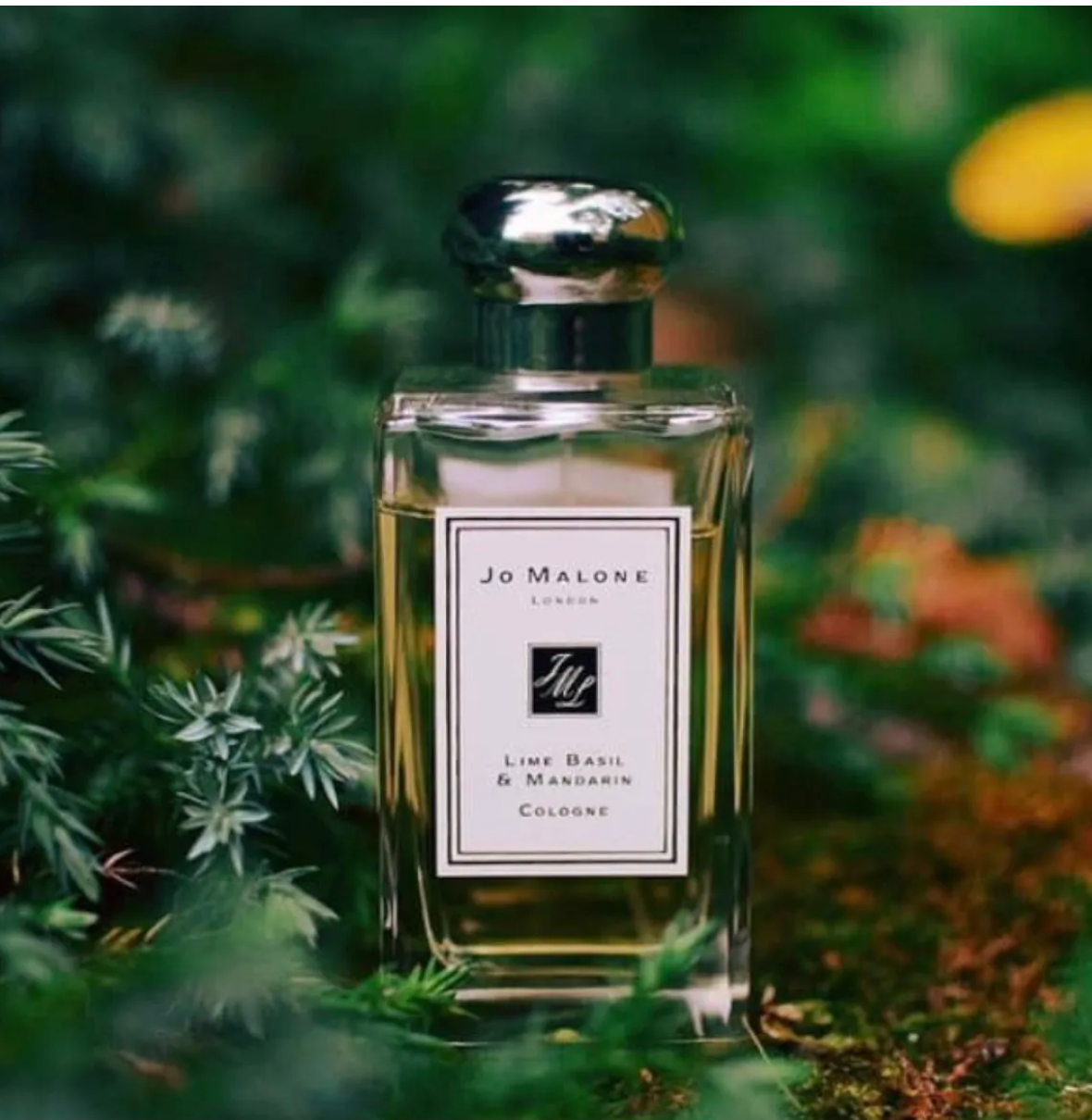 Perfume for Hayley *