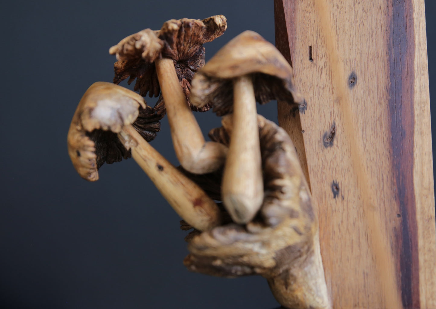 Handmade Mushroom & Kiaat Wood Incense Holder