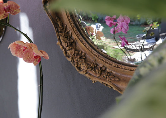 Vintage Molded Mirror Frame with Convex Exit Fisheye Mirror Upcycled