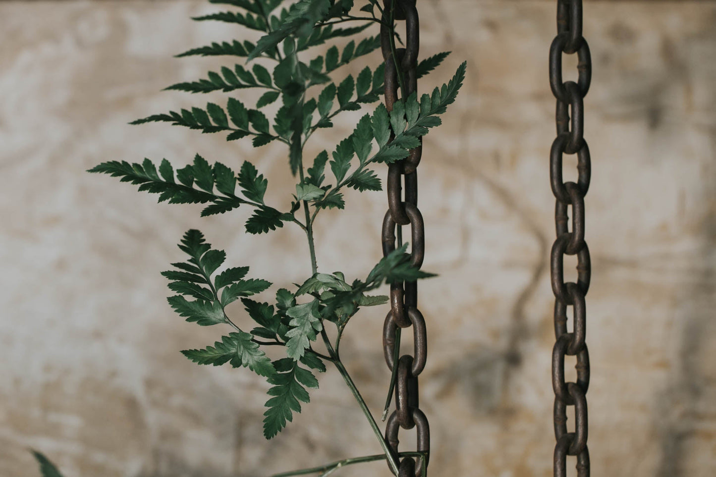 Private Shoots Styling