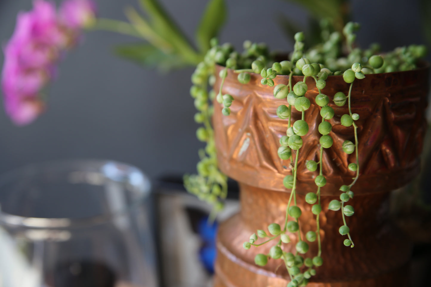 Unique Copper Plant Pot