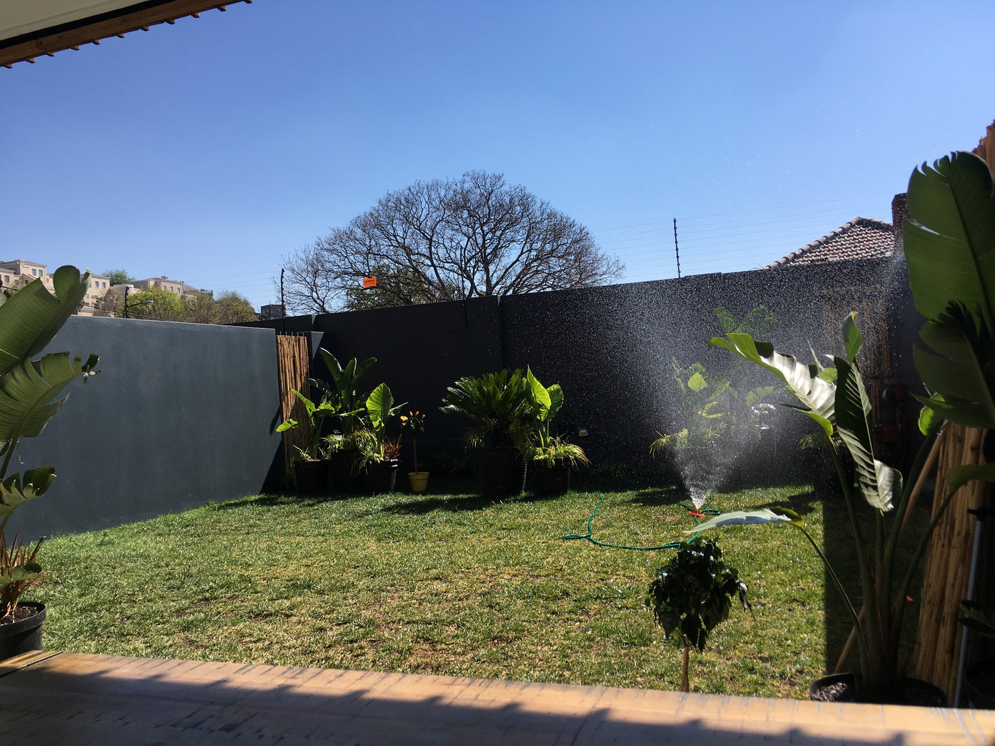 Modern Boho townhouse