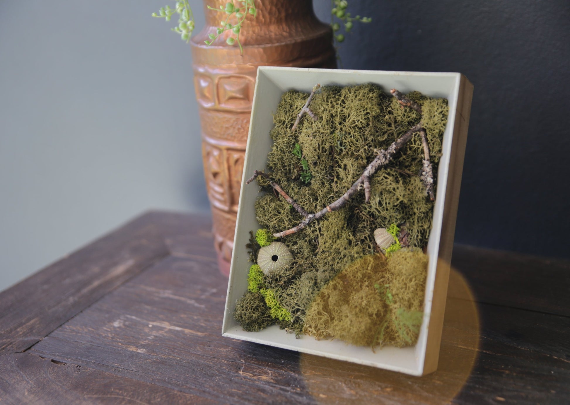 Moss Painting - Framed Picture with Ever-Moss, Forest twigs and Seashells