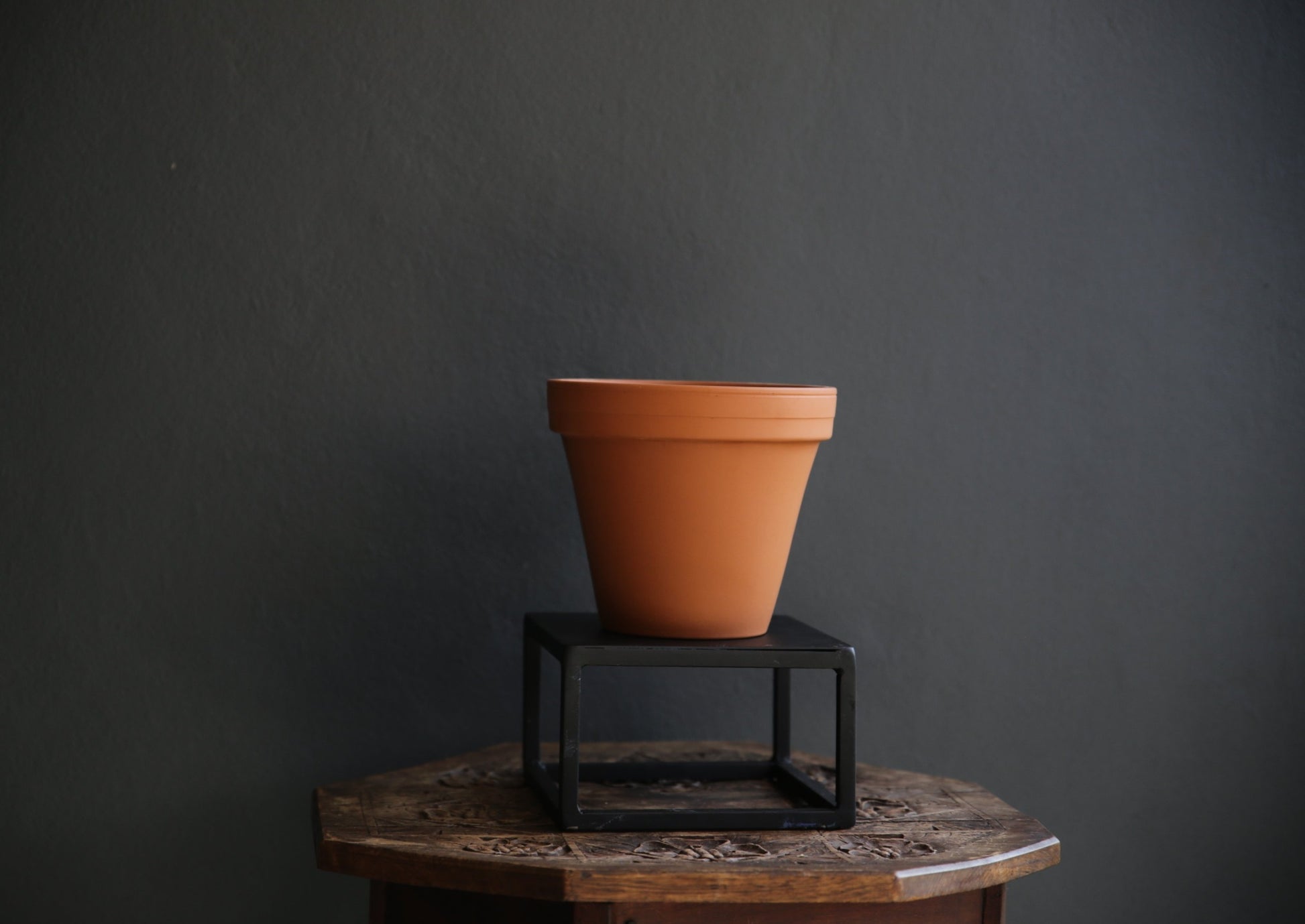 Terracotta Pot Plant for Kitchen Garden
