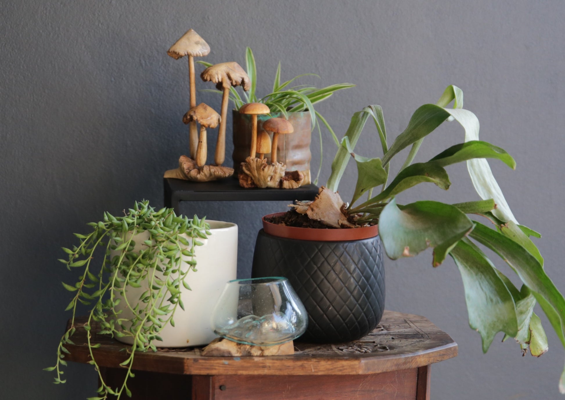 Carved wooden Mushrooms Sculpture - Short Round Top