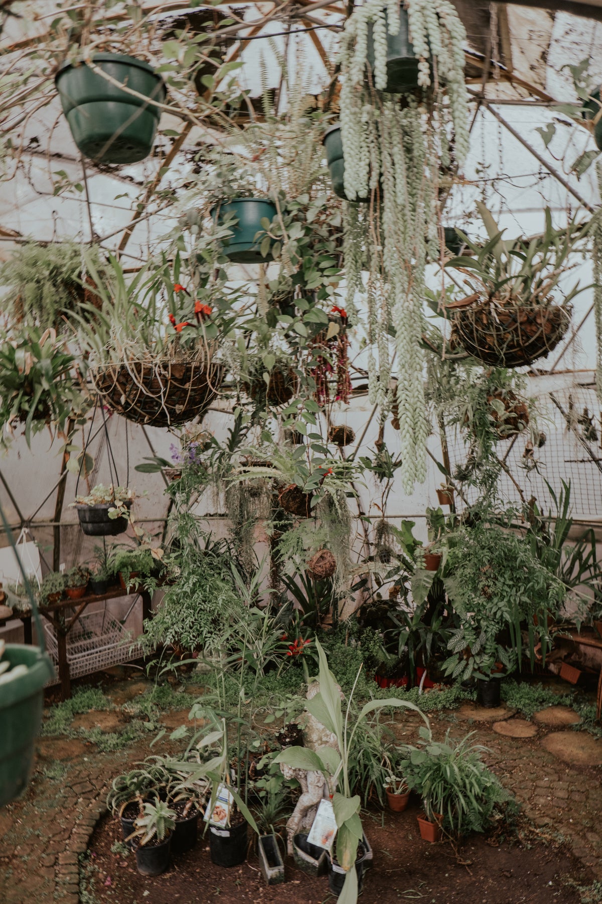 Greenhouse Plantscaping