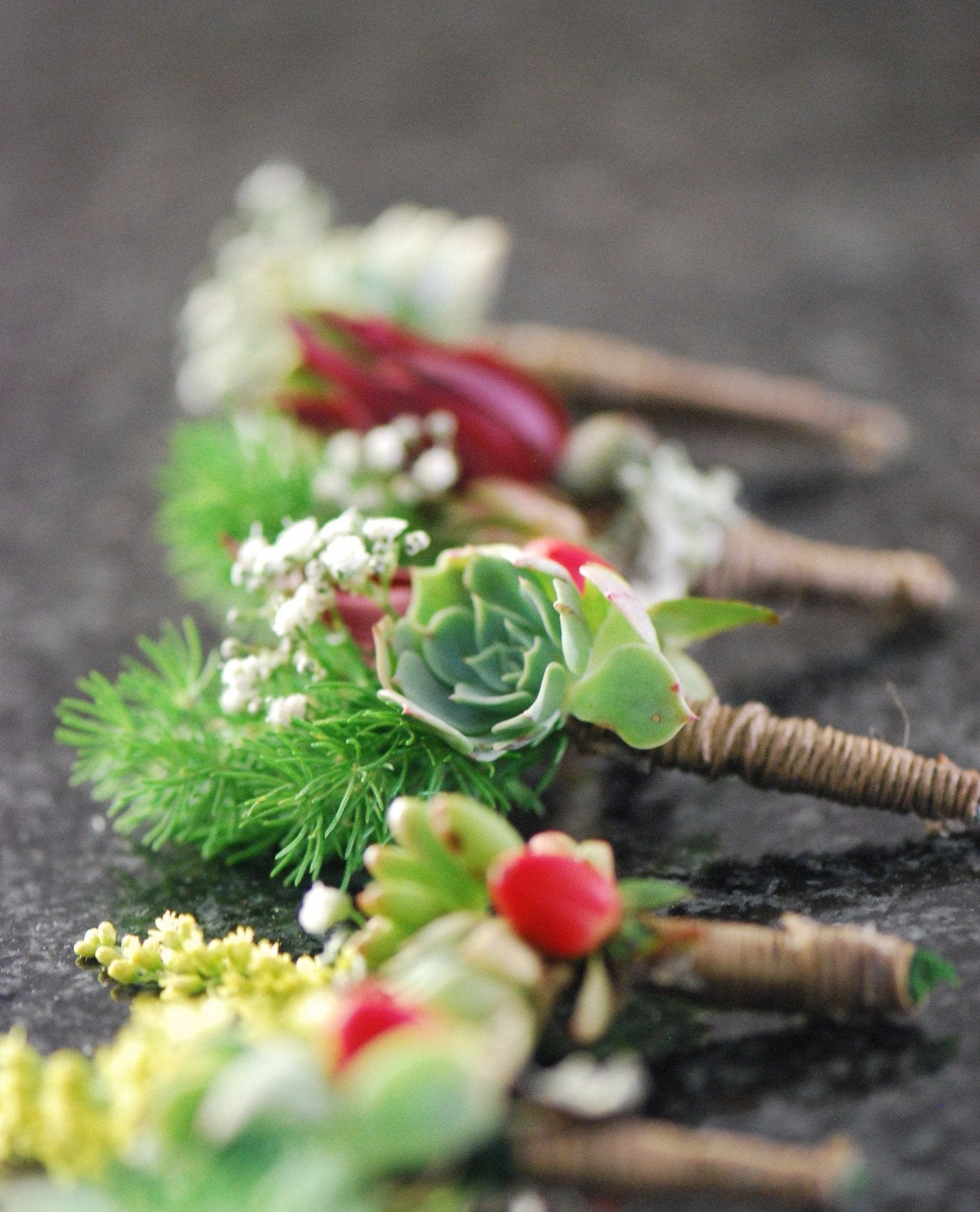 Succulent Boutonniere