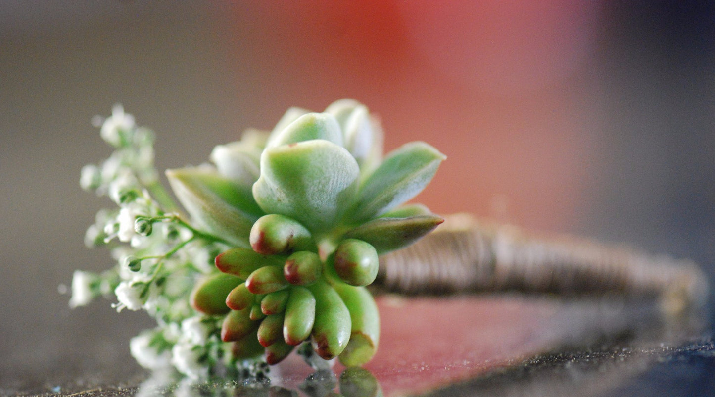 Succulent Boutonniere