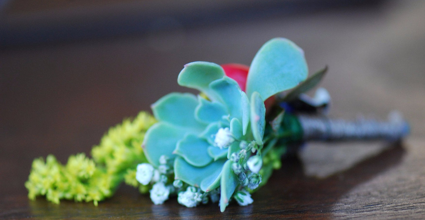 Succulent Boutonniere