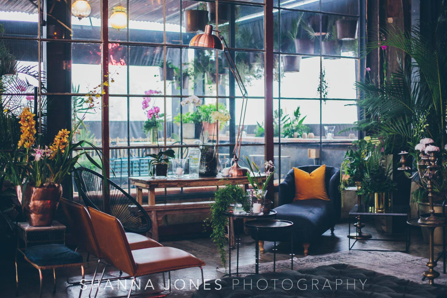 Rental - Pots & Plants